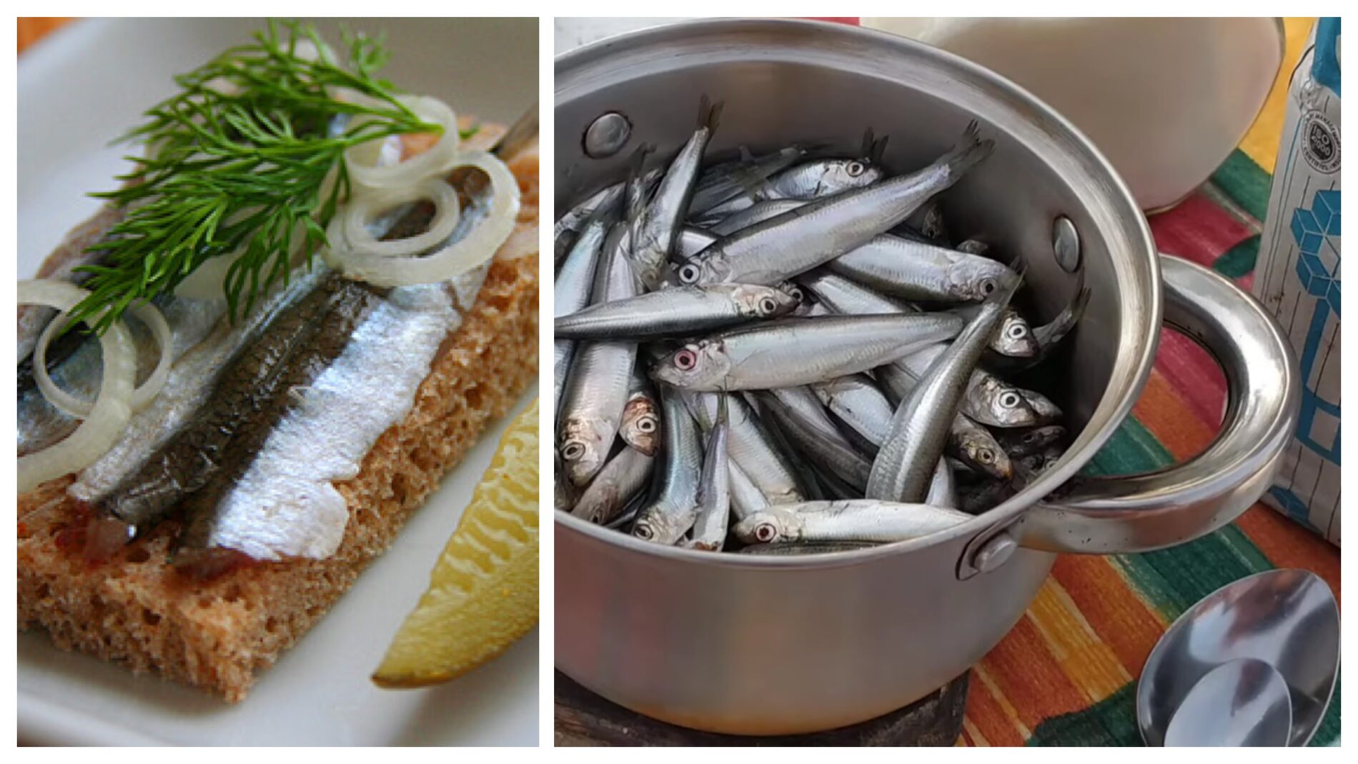 Господині розповіли, як готувати слабосолену тюльку в домашніх умовах 