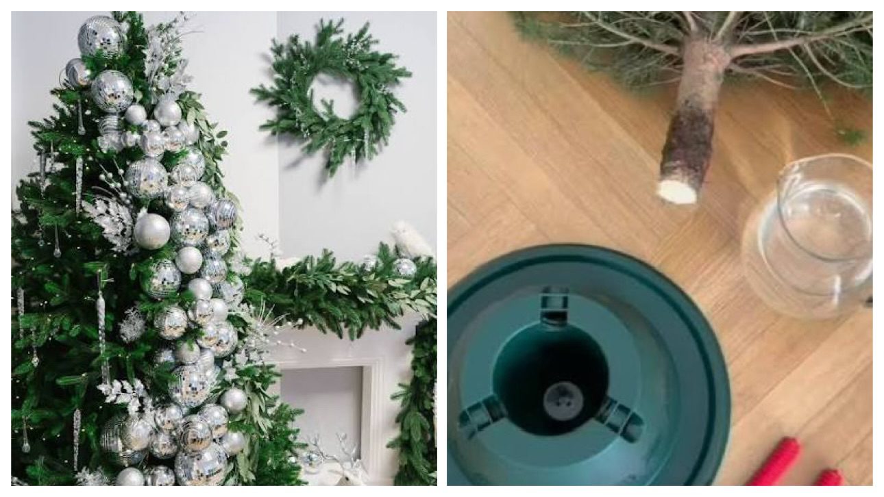 Господині розповіли, як поставити ялинку, щоб вона не обсипалася 