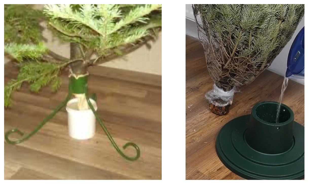 Господині розповіли, як поставити ялинку, щоб вона не обсипалася 