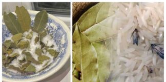 Господині розповіли, навіщо класти лавровий лист у миску з сіллю 