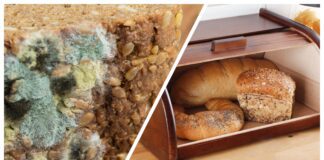 Господині розповіли, як зберігати хлібобулочні вироби, аби вони не пліснявіли 