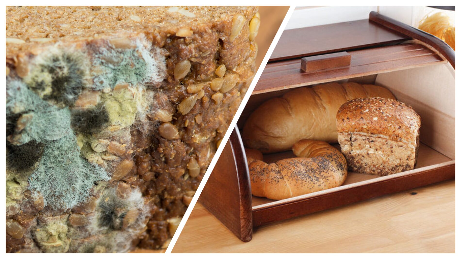 Господині розповіли, як зберігати хлібобулочні вироби, аби вони не пліснявіли 