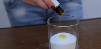 Господині розповіли, як зробити бюджетний освіжувач повітря своїми руками 