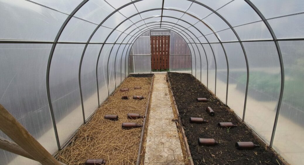 Сусід розповів 1 класну хитрість – тепер уже років 7 ставлю пляшки у теплицю, і ось навіщо 