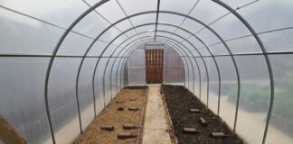 Городники розповіли, для чого потрібно ставити пляшки у теплиці