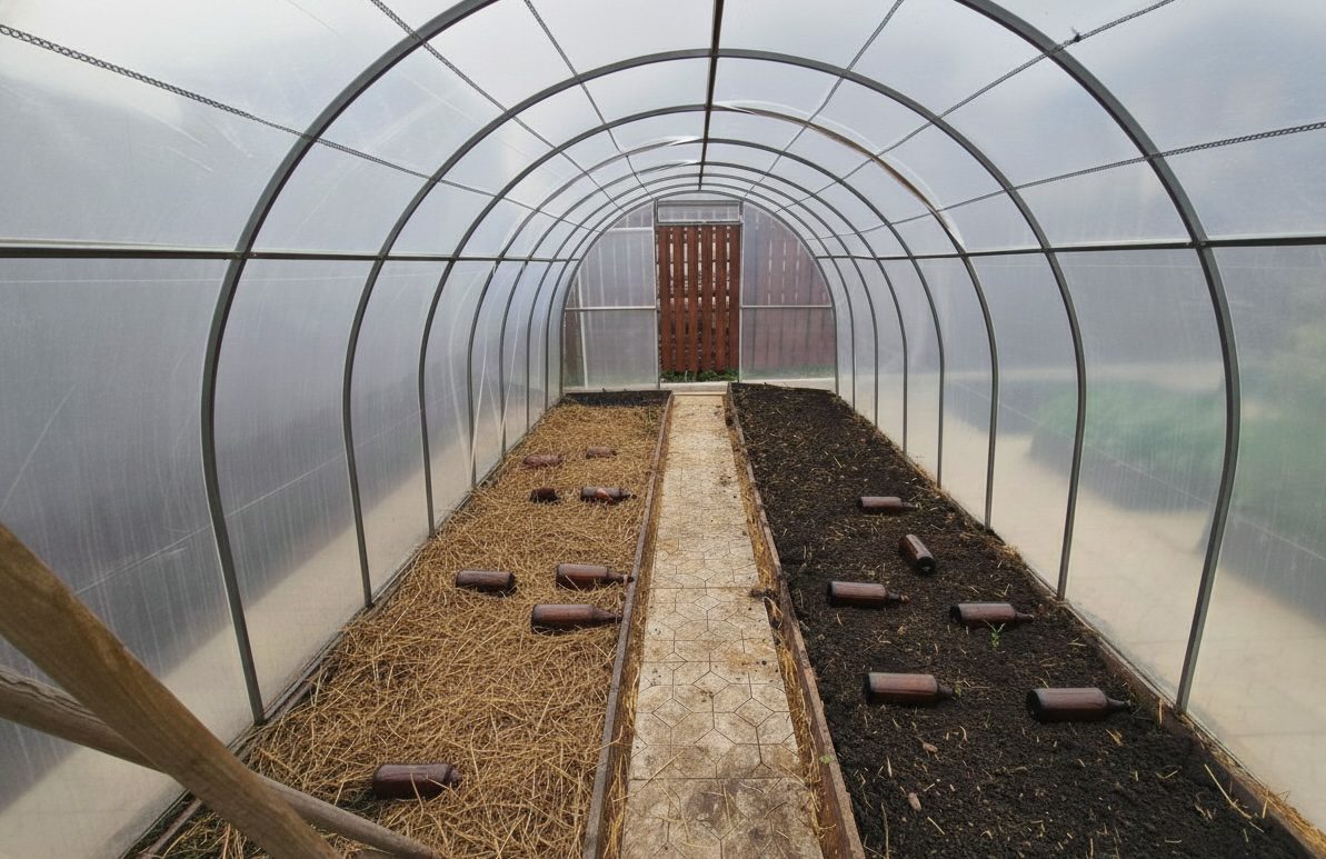 Садівники розповіли, як обігріти ґрунт у теплиці за допомогою пляшок