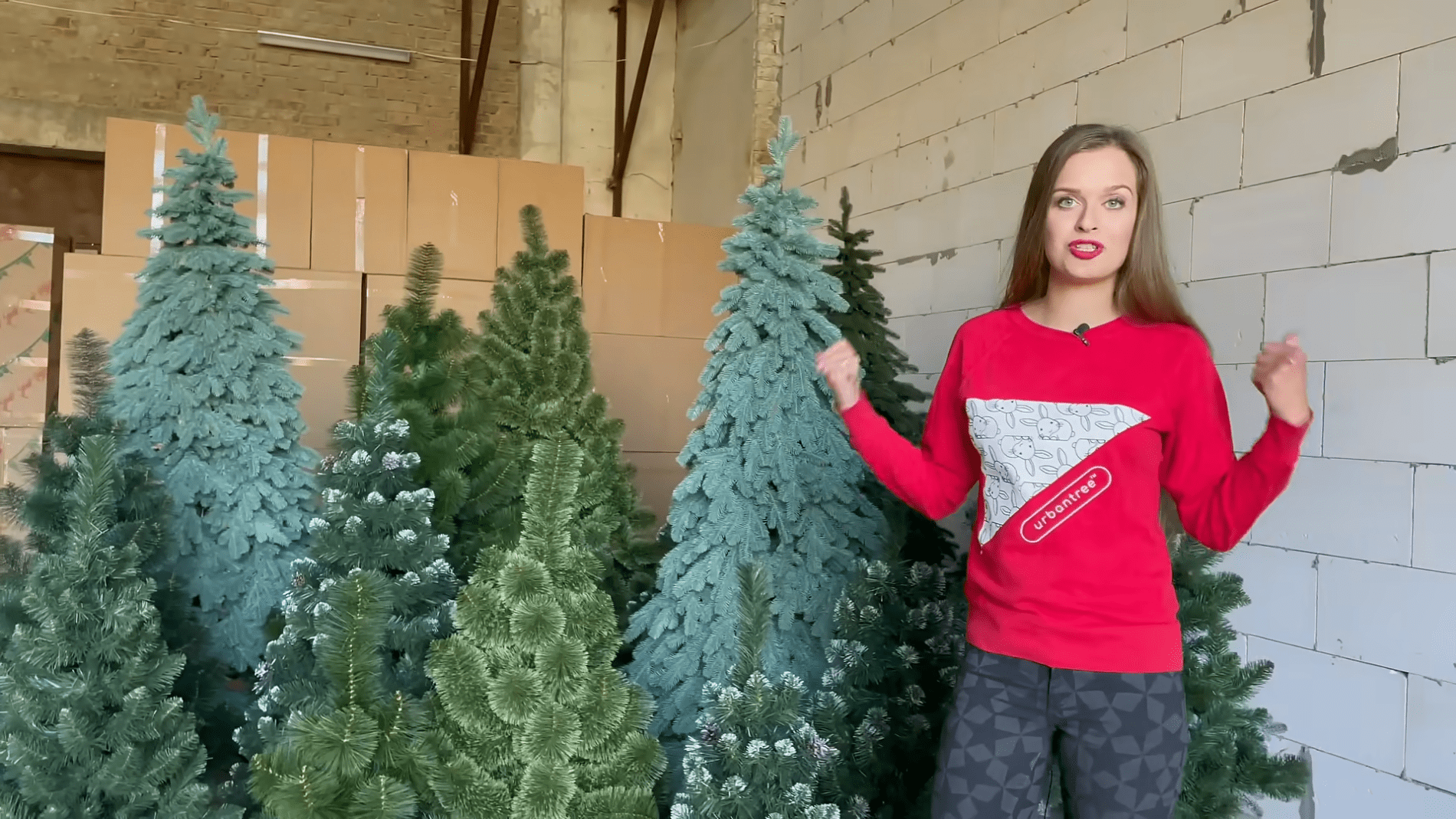 Експерти розповіли, як обрати якісну штучну ялинку в магазині