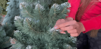 Господині назвали 2 способи використання ялинки в домі 