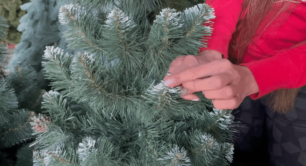 Ялинку одразу після свят не викидаю – знаходжу їй корисне застосування: 2 способи, про які мало хто знає 