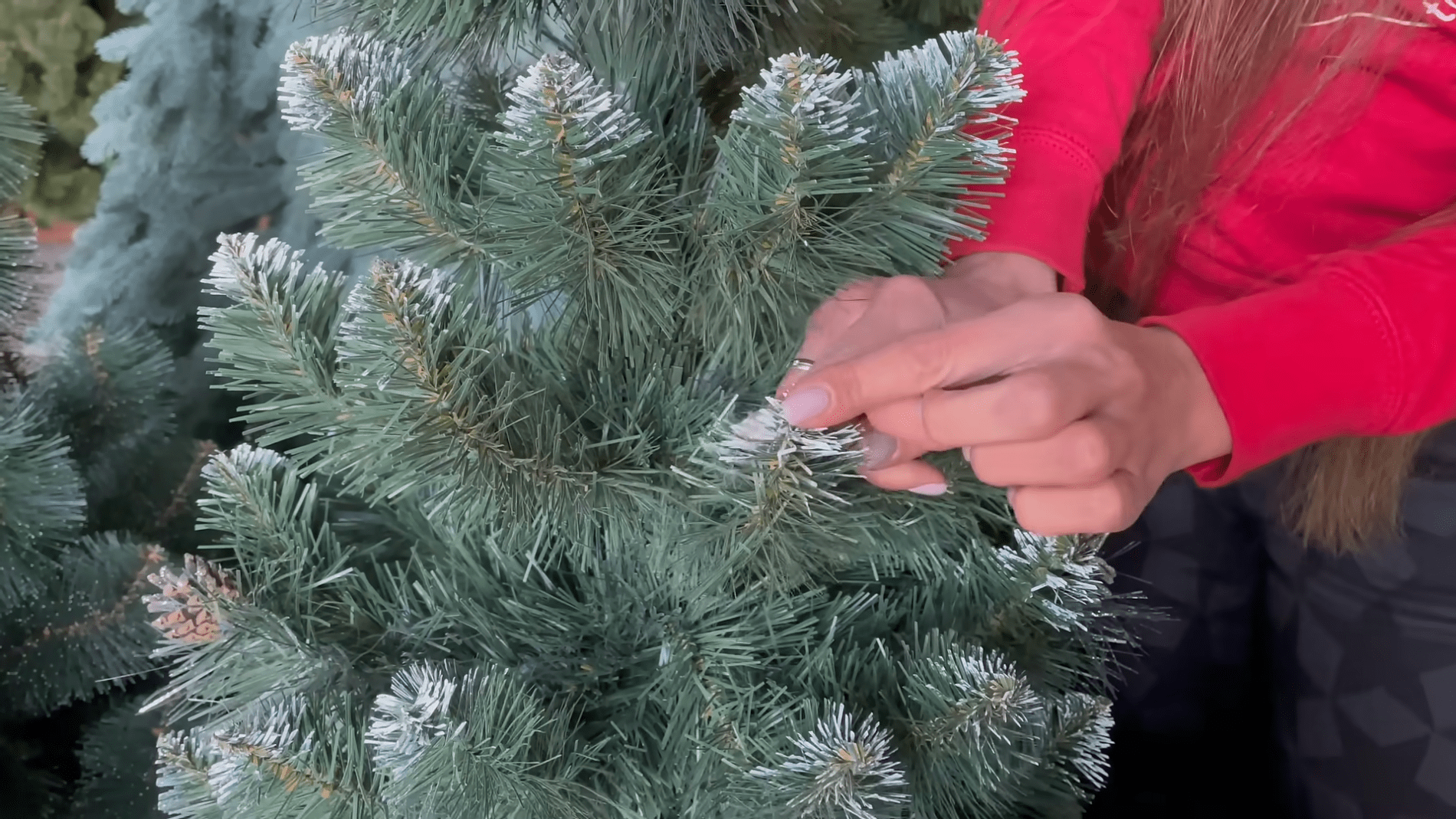 Господині назвали 2 способи використання ялинки в домі 