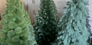 Експерти розповіли, як обрати якісну штучну ялинку в магазині