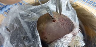 Господині розповіли, як швидко приготувати буряк на салат у мікрохвильовці