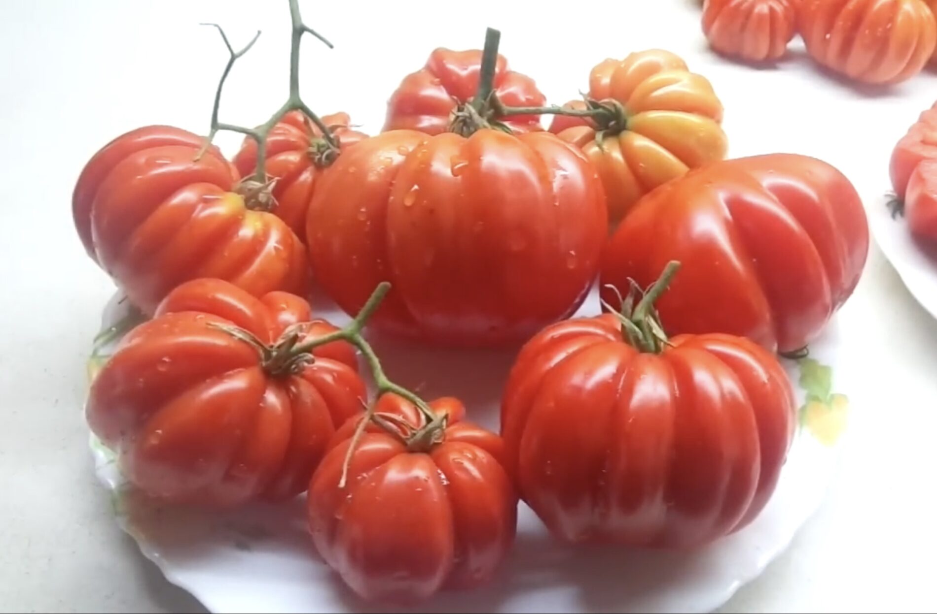 Експерти розповіли про найкращі сорти низькорослих томатів