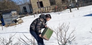 Городники розповіли, які добрива можна вносити по снігу