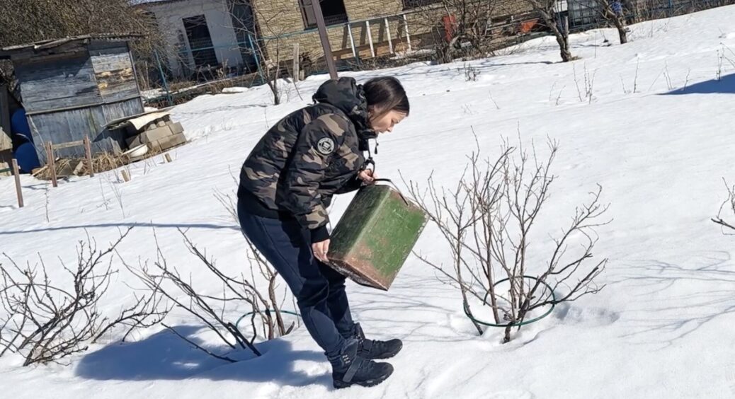 Я за натуральні добрива: які саме можна розкидати по снігу, як правильно та який результат отримаєте навесні 