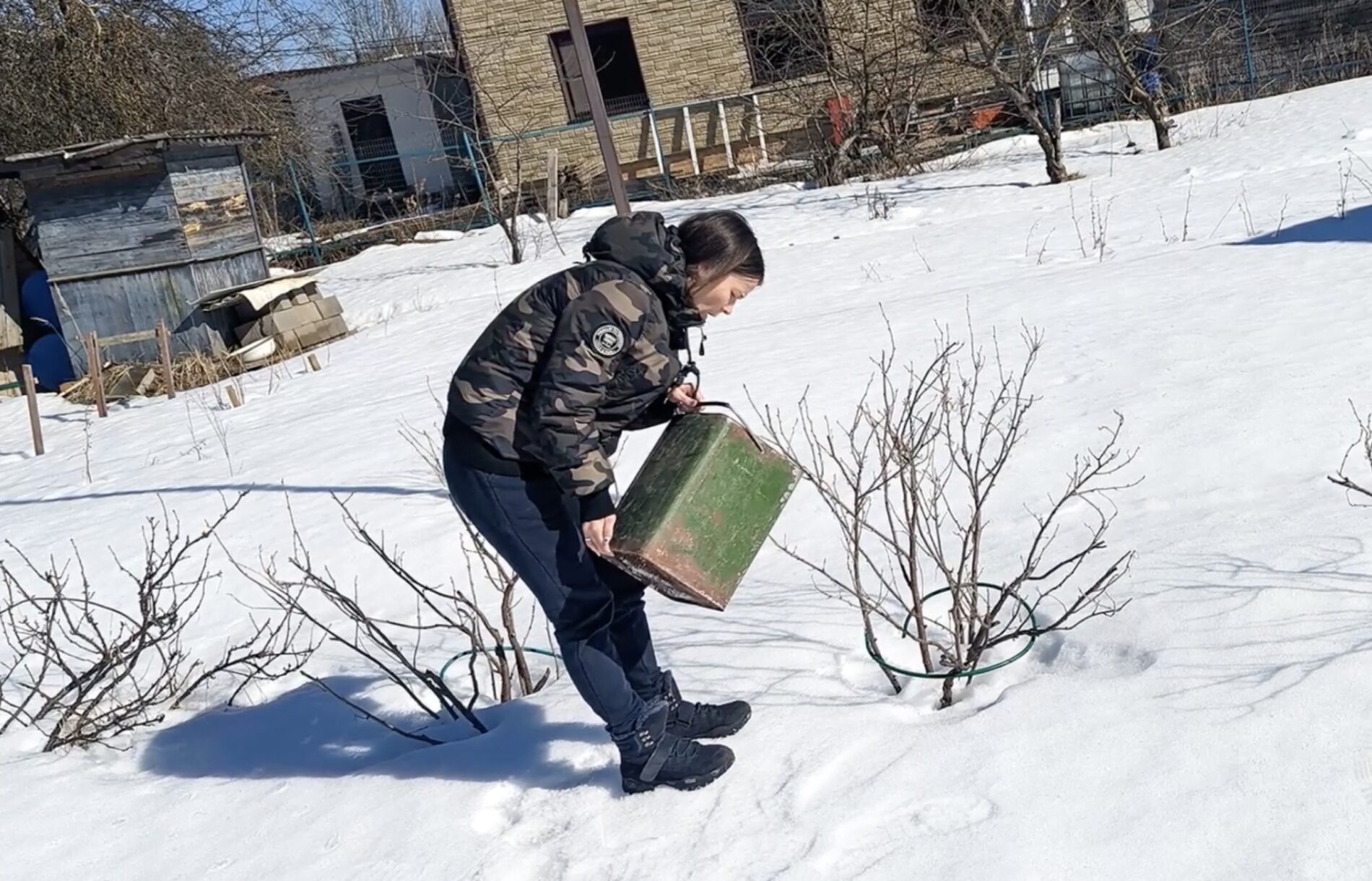 Городники розповіли, які добрива можна вносити по снігу