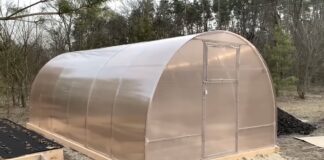 Експерти розповіли, чому теплиця швидко руйнується