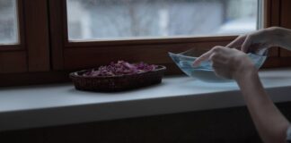 Господині розповіли, як зволожити повітря в кімнатах у сезон опалення без витрат