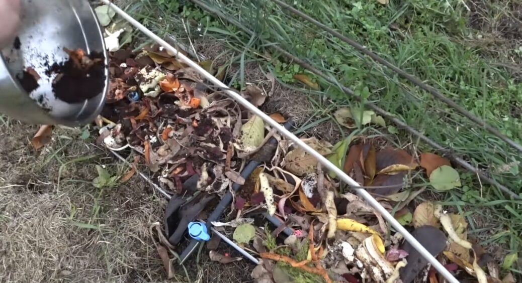 Очистки від картоплі й моркви не йдуть у смітник, а працюють на майбутній врожай: 1 трюк діда з села 