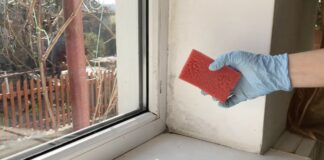 Господині розповіли, як позбутися цвілі на вікнах без хімії