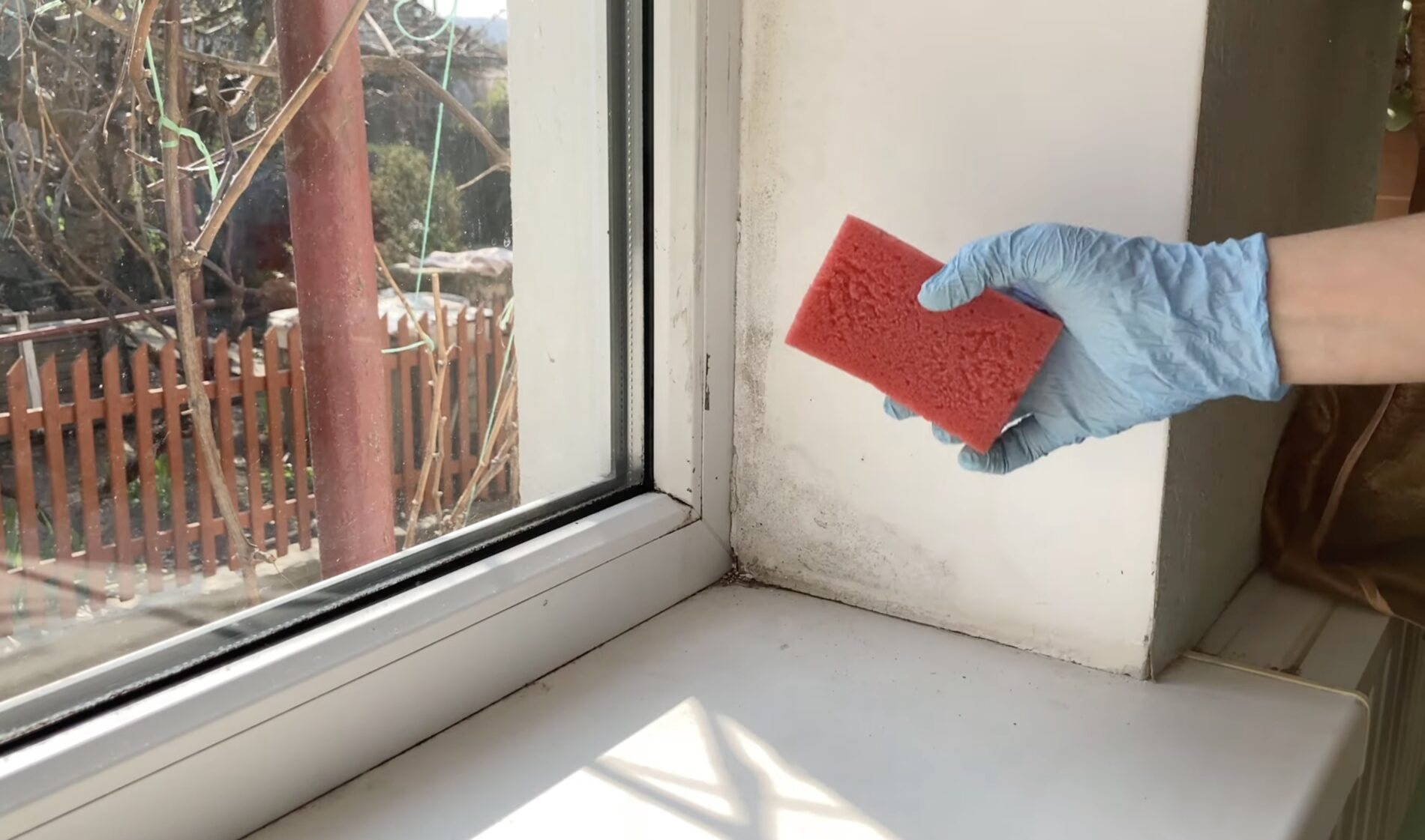 Господині розповіли, як позбутися цвілі на вікнах без хімії