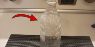 Як використовувати пусті пластикові пляшки на грядці