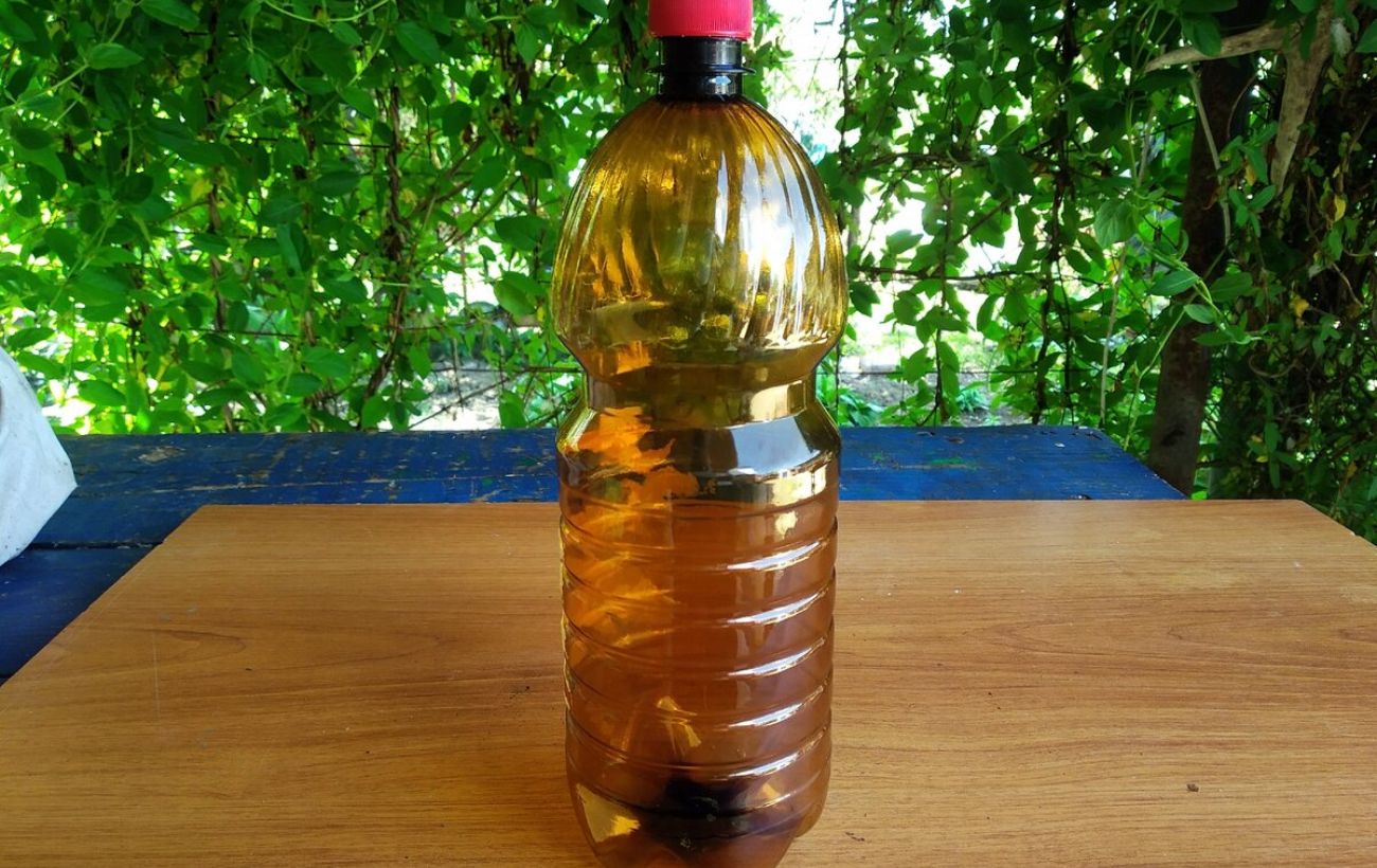 Експерти поділились порадами, як використовувати пусті пластикові пляшки на власній грядці