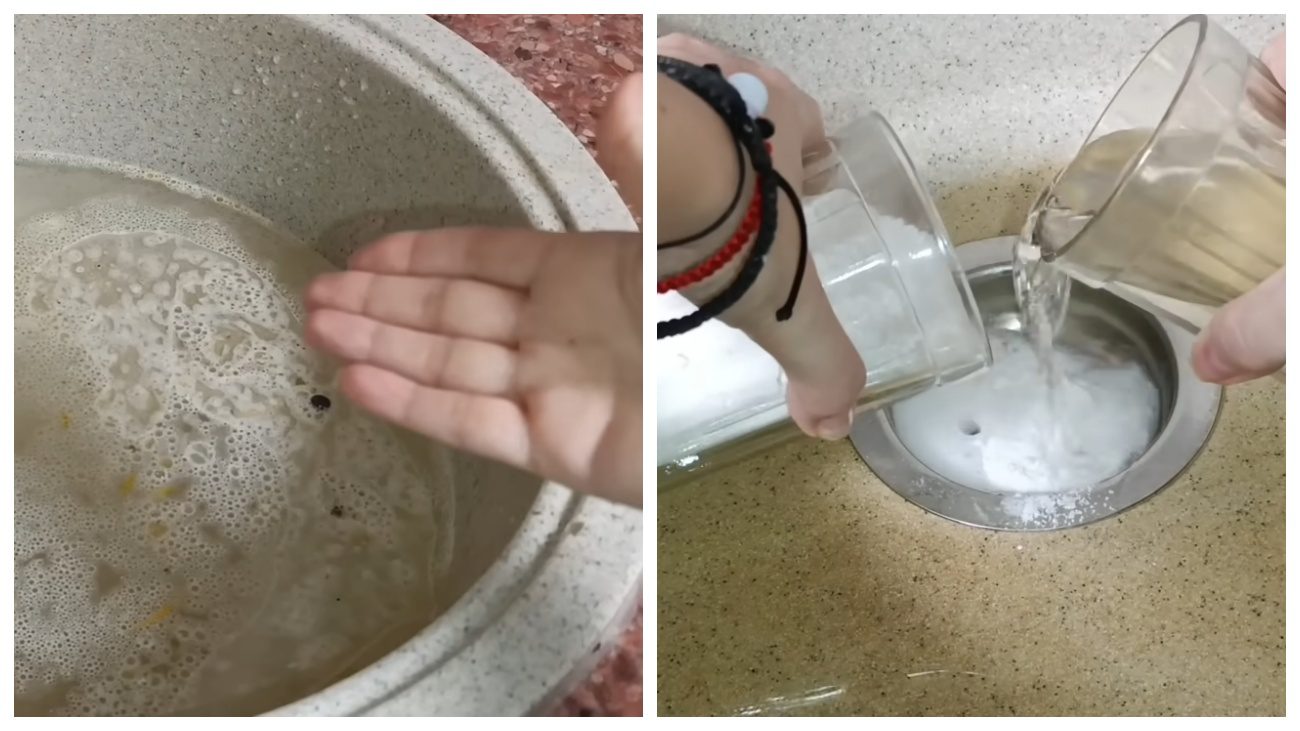 Експерти поділились домашнім засобом прочистити зливу