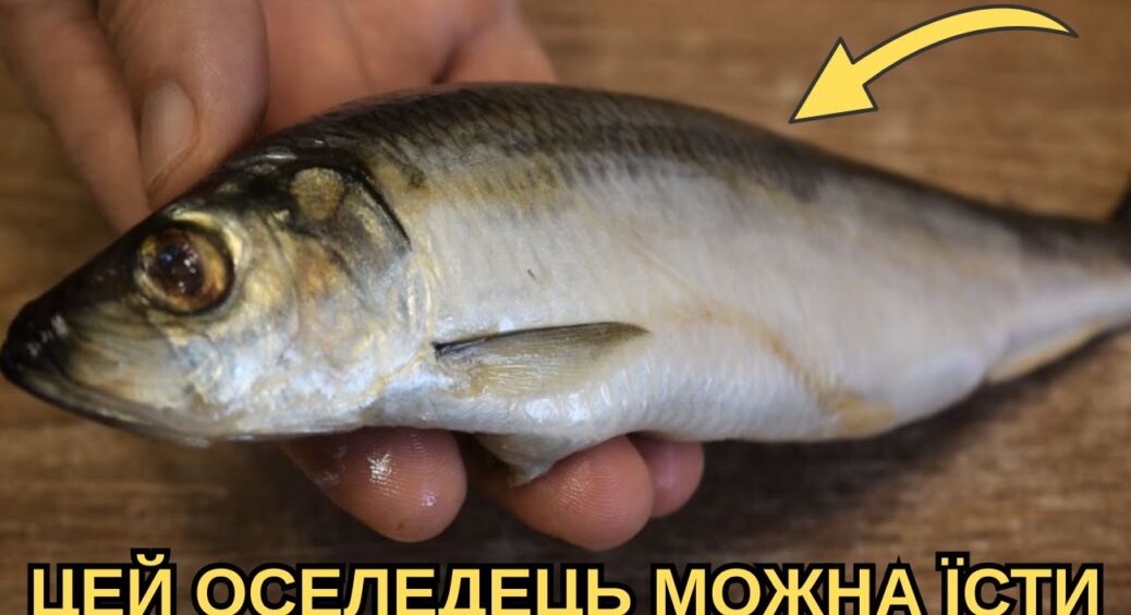 Продавці на ринку нервують, коли я так роблю: 1 погляд сюди – і одразу бачу, чи оселедець придатний 