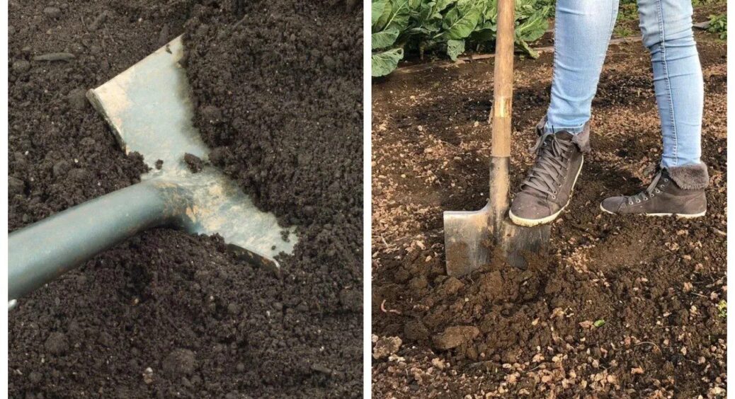 Як тільки тане сніг, свекруха йде на город, щоб зробити це: я була вражена ефектом – трюк на 100 балів 