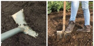 Що робити на грядці після танення снігу