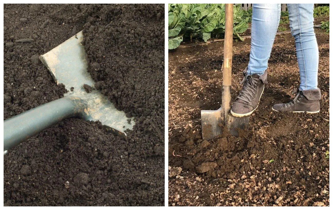 Що робити на грядці після танення снігу