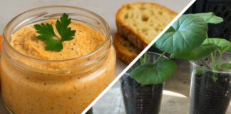 Як використовувати скляні баночки для розсади