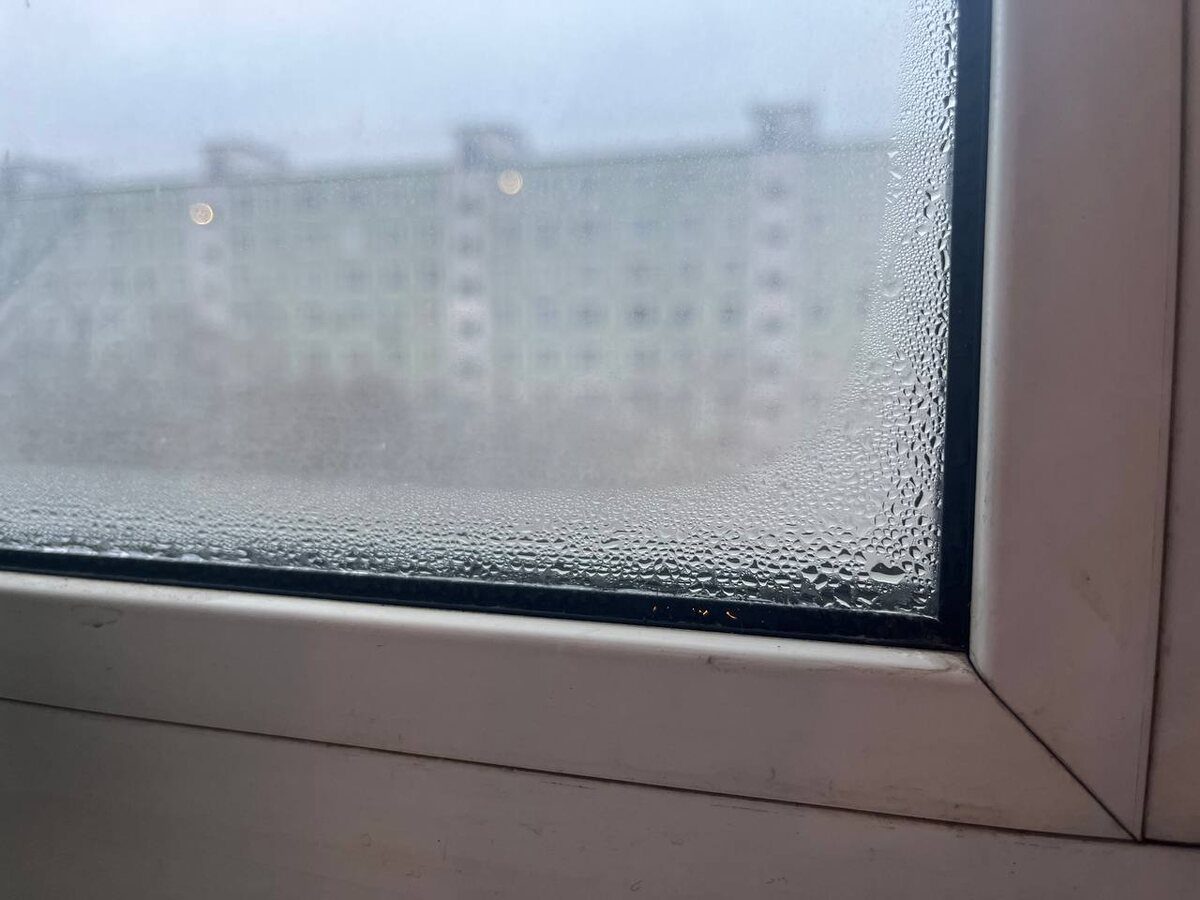 Експерти пояснили, як позбутись від конденсату за допомогою простого лайфхаку від вікнярів