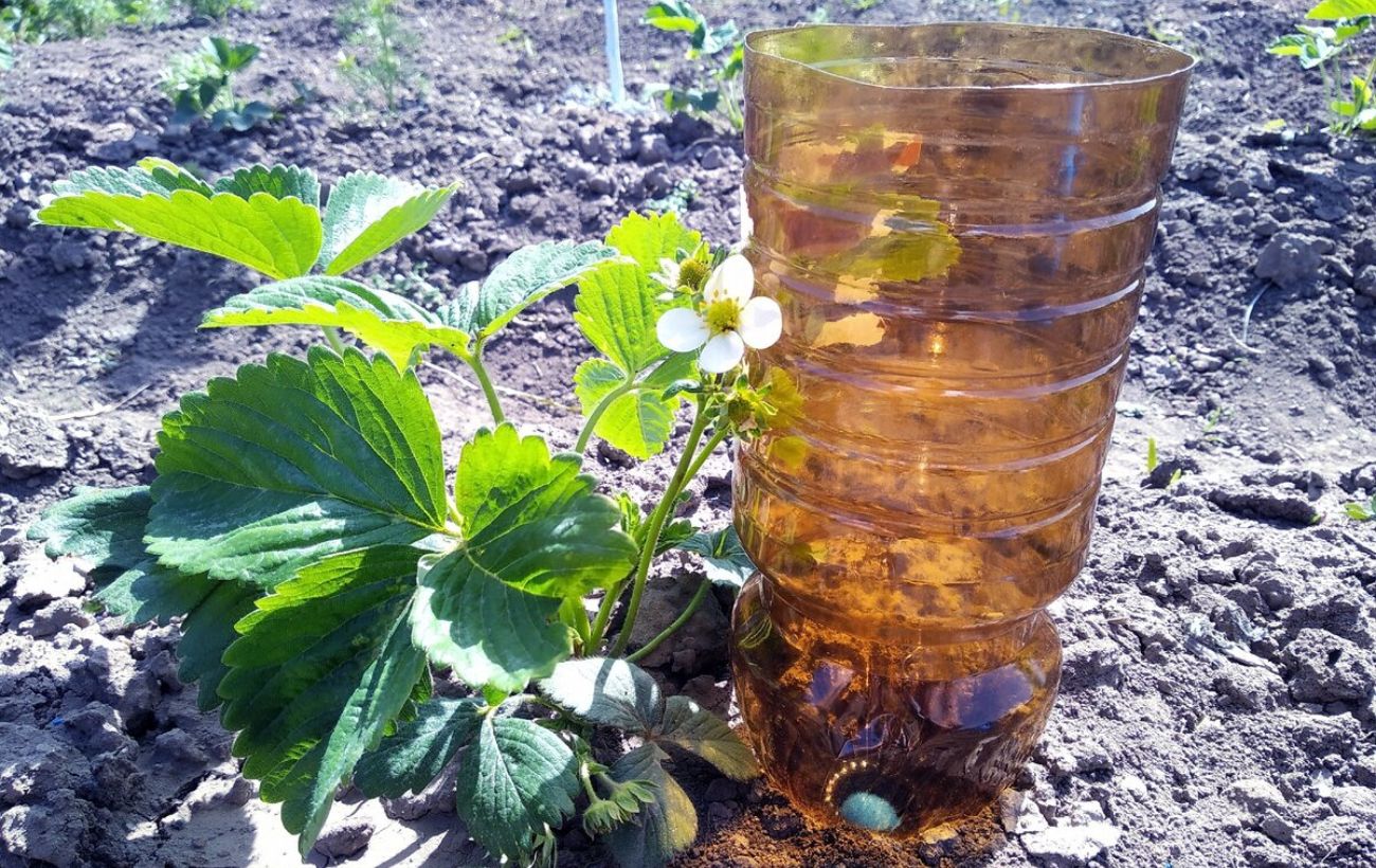 Як використовувати старі пластикові пляшки