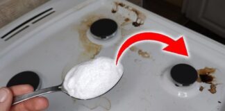 Як очистити стару плиту від жиру та нагару