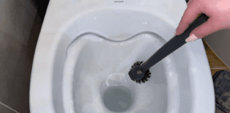 Господині розповіли, як легко підтримувати туалет чистим