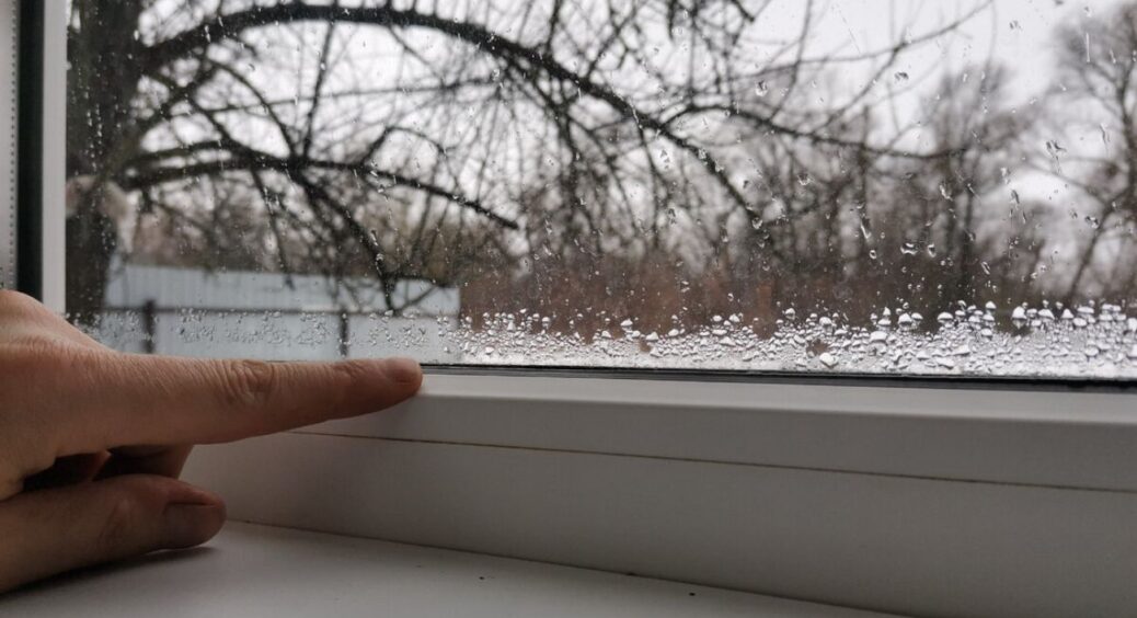 Ставлю на підвіконня мисочку із тирсою, а туди – 4 жмені рису: не дивацтво – трюк, що блокує конденсат 