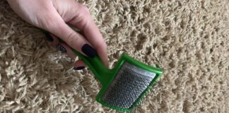 Господині пояснили, як повернути килимам пухнастість та аромат 