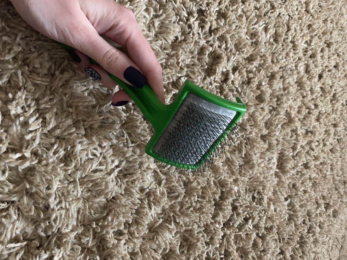 Експерти розповіли, як можна повернути м'якість килима за допомогою простого лайфхаку