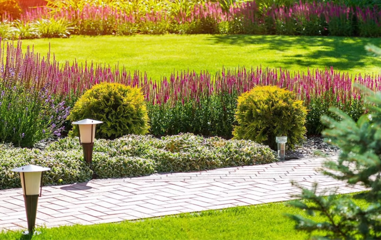 Експерти порадили рослини для ідеального садового бордюру