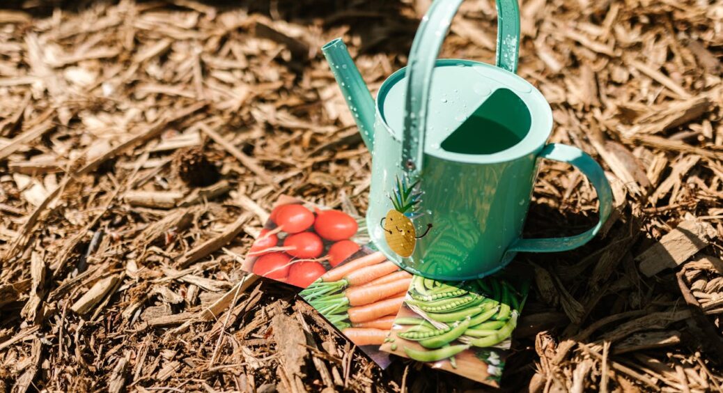 Додаю 2 краплі й навіть старе насіння дуже швидко й дружно проростає: “безґрунтовий” спосіб пророщування 