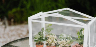 Експерти розповіли, як зробити мінітепличку власноруч