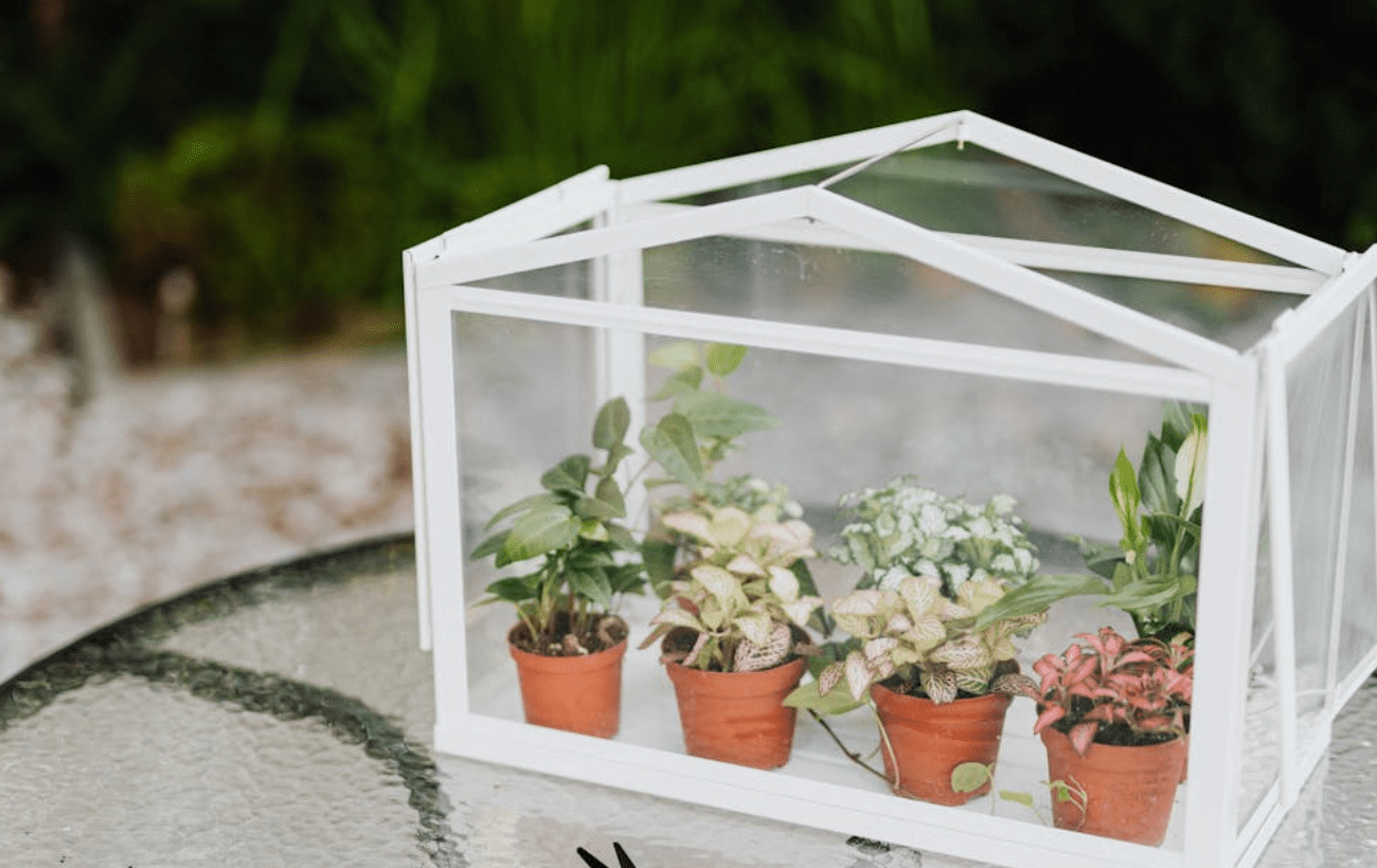 Експерти розповіли, як зробити мінітепличку власноруч