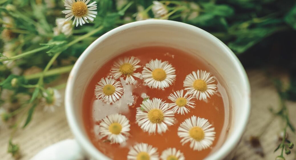 А я вирощую ромашку прямо з чайних пакетиків: середина зими — найкращий час для посіву у приміщенні 