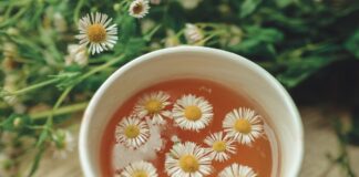 Садівники розповіли, як виростити ромашку з чайних пакетиків