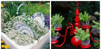 Експерти дали цікаві поради щодо садового декору