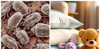 Експерти розповіли про дезінфекцію речей морозом