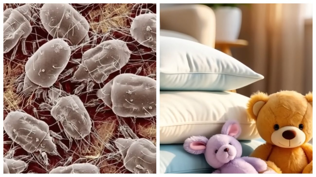 Експерти розповіли про дезінфекцію речей морозом