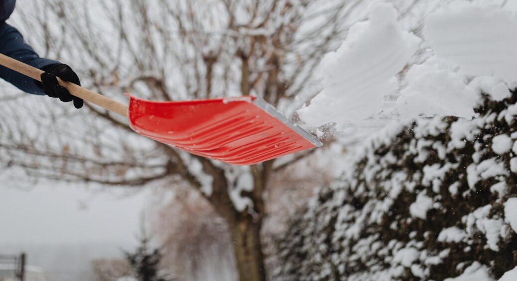 Міфи садового утеплення: я перевірила популярні поради й зрозуміла, де марнувала час. Зробіть це прямо зараз 